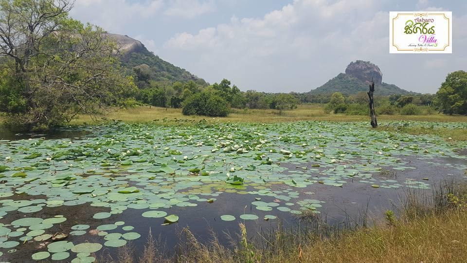 Asharo Sigiriya Villa Екстериор снимка