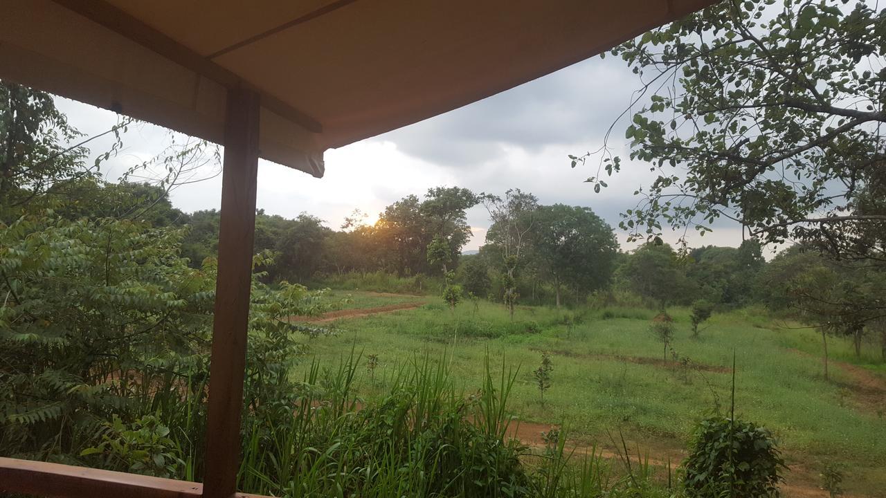Asharo Sigiriya Villa Екстериор снимка